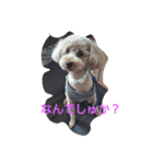 我が家のモカさん②（個別スタンプ：4）