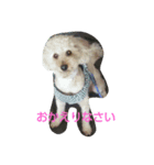 我が家のモカさん②（個別スタンプ：7）