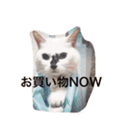 iloveチロイロイ（個別スタンプ：3）