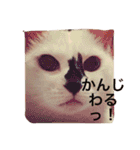 iloveチロイロイ（個別スタンプ：4）
