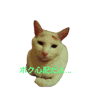 iloveチロイロイ（個別スタンプ：14）