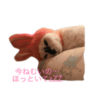 iloveチロイロイ（個別スタンプ：19）