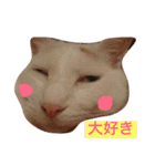 iloveチロイロイ（個別スタンプ：21）