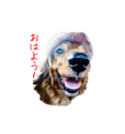 まこまぽすたんぷ（個別スタンプ：1）