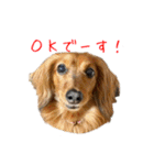 まこまぽすたんぷ（個別スタンプ：18）