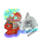 もふ猫ラグドールの一日（個別スタンプ：4）