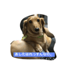 ニョロズスタンプその2！（個別スタンプ：1）