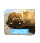 ニョロズスタンプその2！（個別スタンプ：3）
