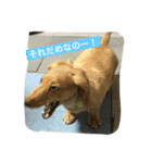 ニョロズスタンプその2！（個別スタンプ：12）