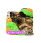 ニョロズスタンプその2！（個別スタンプ：13）