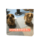 ニョロズスタンプその2！（個別スタンプ：15）