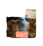 ニョロズスタンプその2！（個別スタンプ：16）