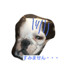 パッキャオ姐さん（個別スタンプ：3）