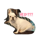 パッキャオ姐さん（個別スタンプ：4）