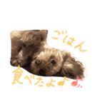 チー♥︎てぷ（個別スタンプ：4）