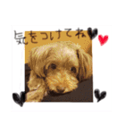 チー♥︎てぷ（個別スタンプ：23）