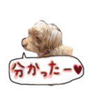 チー♥︎てぷ（個別スタンプ：31）