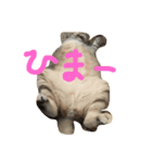 柿合さん家のネコ（個別スタンプ：2）