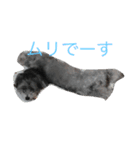 yuzukunn（個別スタンプ：2）
