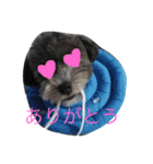 yuzukunn（個別スタンプ：3）
