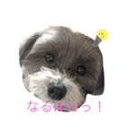 yuzukunn（個別スタンプ：12）