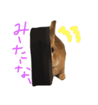 うさぎのCOCO.（個別スタンプ：10）