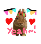 うさぎのCOCO.（個別スタンプ：14）