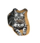にゃん子の気持ちにゃ2（個別スタンプ：6）