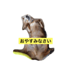 もう寝る（個別スタンプ：3）
