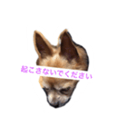 もう寝る（個別スタンプ：4）