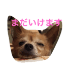 もう寝る（個別スタンプ：5）