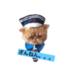 猫（エキゾ）モモみるく（個別スタンプ：15）