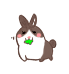 maomao bunnny（個別スタンプ：1）