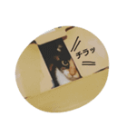 あいにゃん's（個別スタンプ：8）
