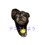 rabu00（個別スタンプ：1）
