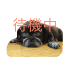 rabu00（個別スタンプ：2）