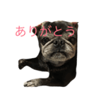 rabu00（個別スタンプ：8）