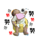 A-JIAN GOGOGO（個別スタンプ：9）