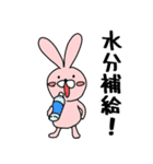 ボルダリングうさぎ（個別スタンプ：39）