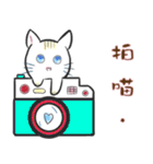 Cure ＆ Meow（個別スタンプ：11）