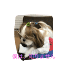 双子犬  ユキチとマサオ（個別スタンプ：23）