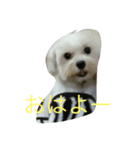 malkan（個別スタンプ：2）