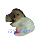 malkan（個別スタンプ：4）