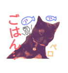 しょこらの日常（個別スタンプ：1）