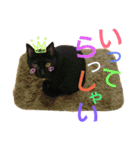 しょこらの日常（個別スタンプ：7）