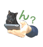 しょこらの日常（個別スタンプ：11）