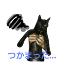 しょこらの日常（個別スタンプ：14）