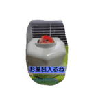 かわインコちゃん（個別スタンプ：6）
