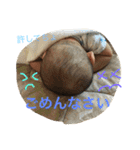 HIBITOcollection（個別スタンプ：8）