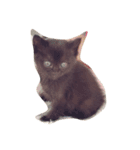 黒猫の可愛いジジ（個別スタンプ：3）